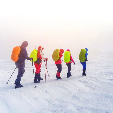 AdobeStock_217655388