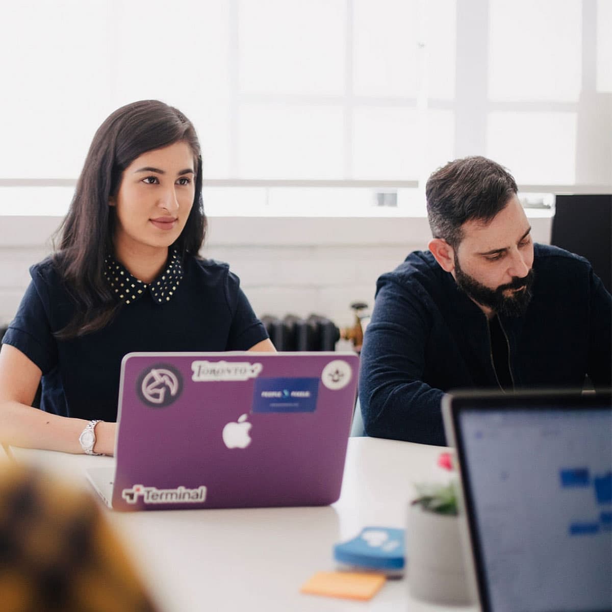 Hvilke temaer kan du forvente?