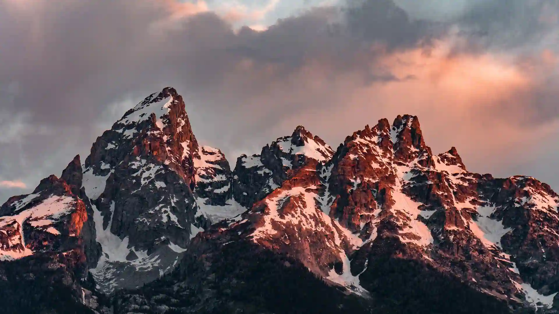 The CEO’s 7 Laws of Leadership